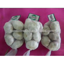 Fresh New Garlic/Fresh Red Garlic in China (200g, 250g,500g,1kg)